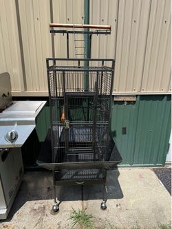 Bird cage asking 50