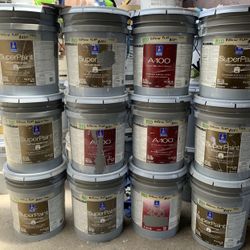 Paint Pinturas Perronas , Exterior Flat Paint, 10 Year Guarantee, @$60 A Five,