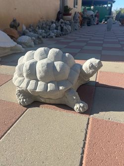 New Turtle Made Out Of Cement