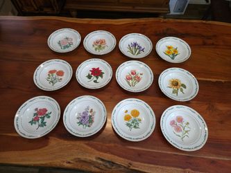 Domestications Flower of the Month China