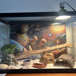 Reptile Terrarium 