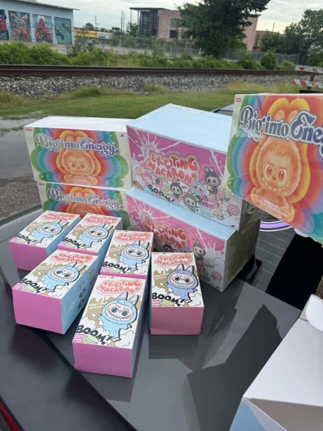 Exciting Macaron Labubu