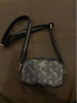 Coach bag small