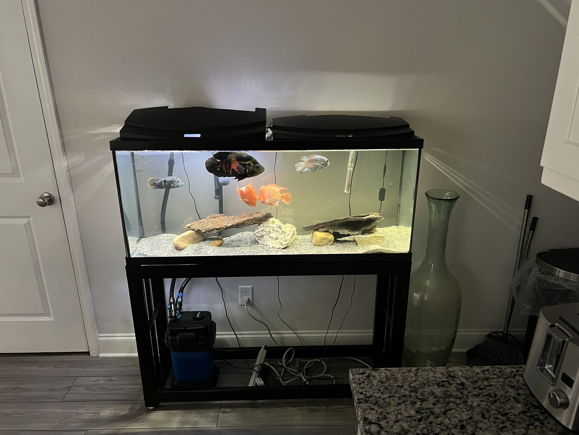 55 Gallon Set Up