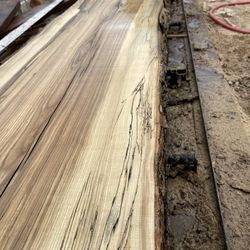 21ft Live Edge Ash Slabs