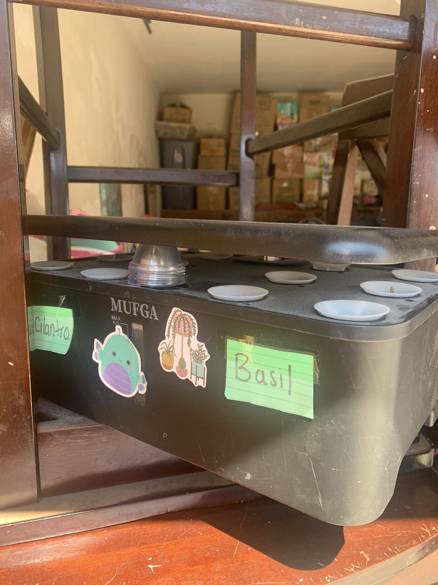 Herb Grow Kit