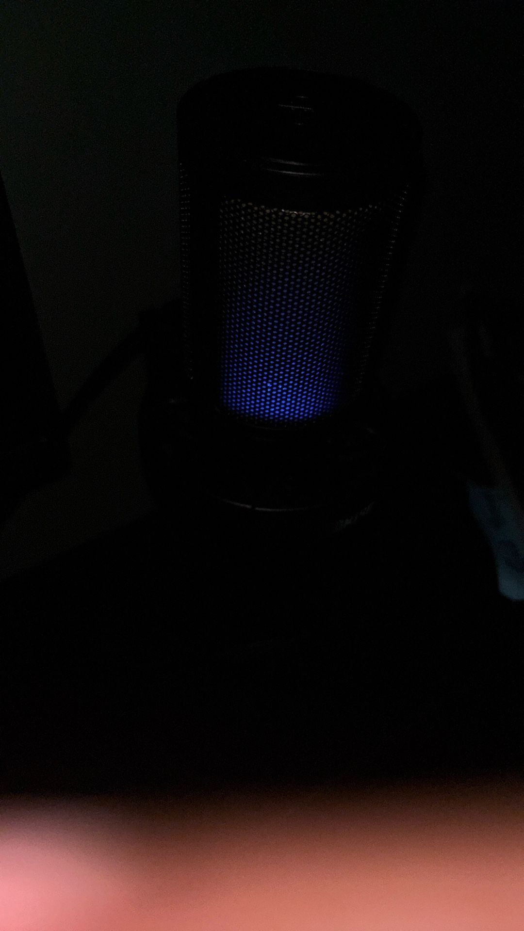 Microphone