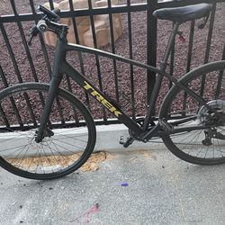 Trek black & gold