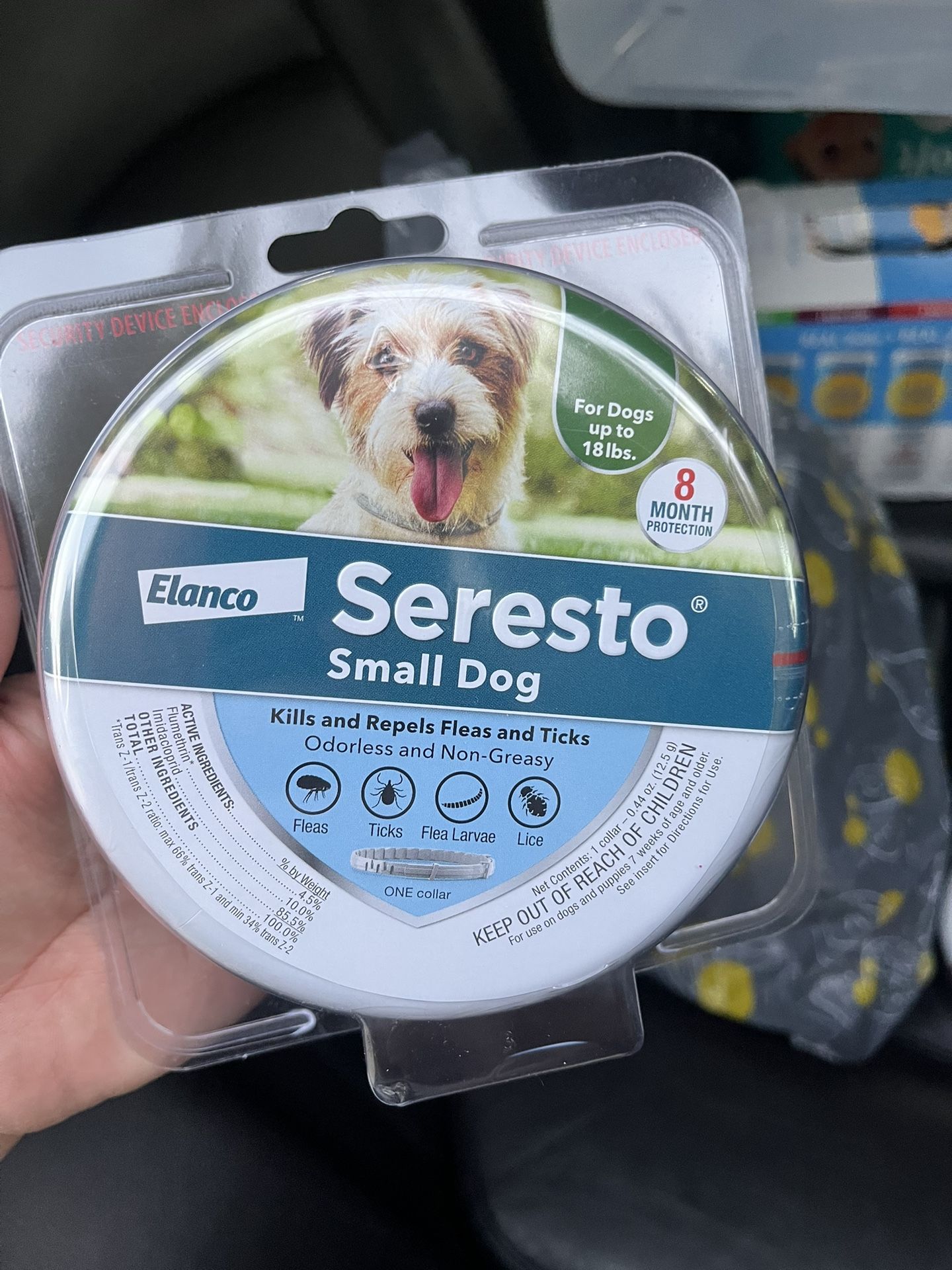 Small Dog Flee Collar