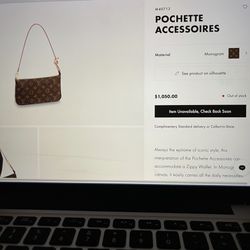 Louis Vuitton Pochette Accessories 