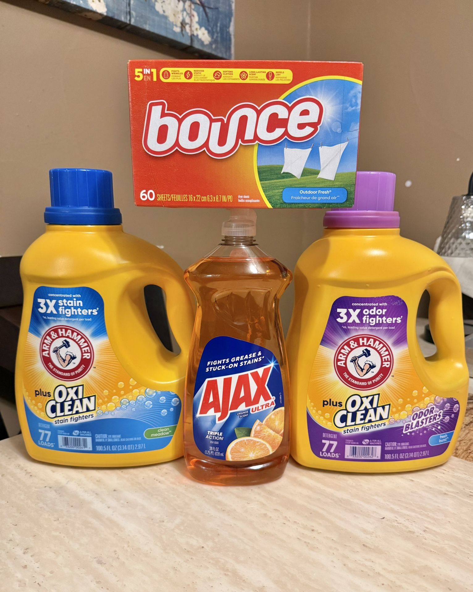 Arm & Hammer Household Bundle