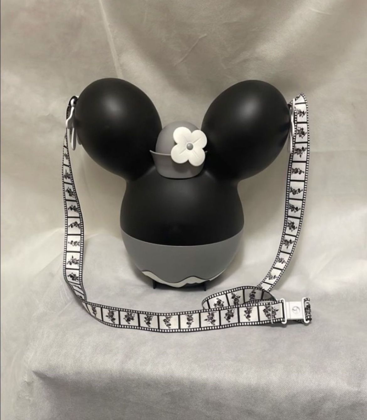 Disney Popcorn Bucket