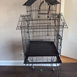 Bird Cage