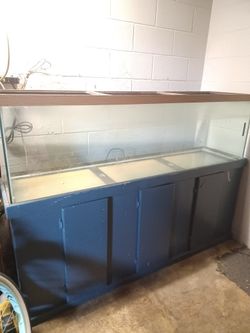 120 Gallon Fish/turtle Tank