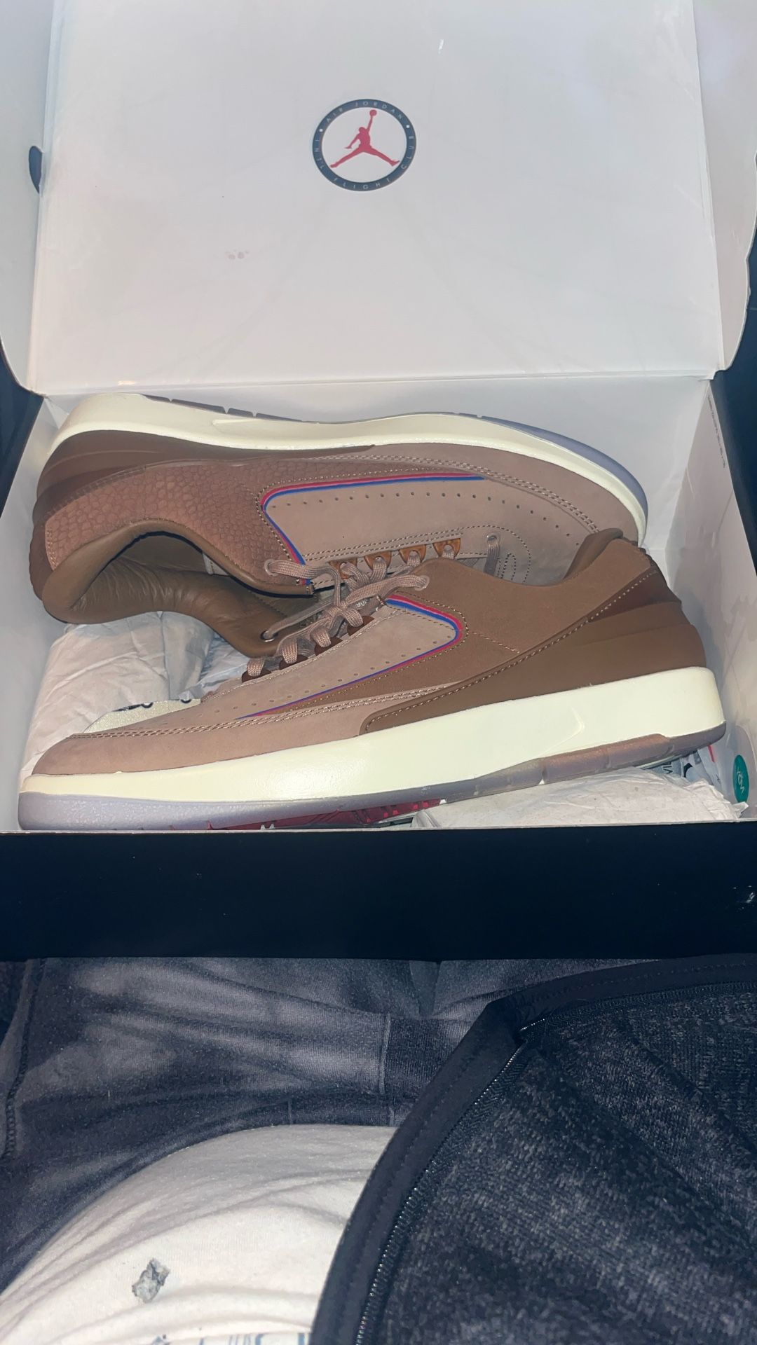 Air Jordan 2 Retro Low Sp