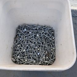 Roofing Nails 2 Inches