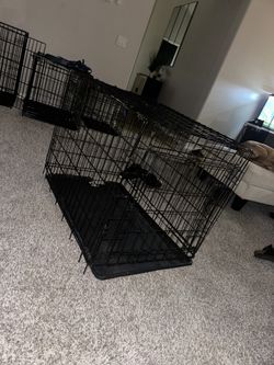 Dog Cage