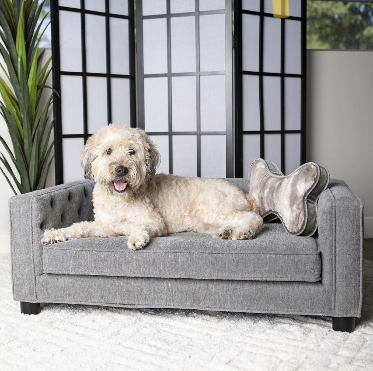 Couch For Your Pet - Brand New In Box