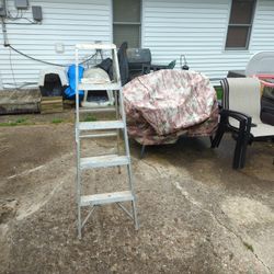 5 Foot Step Ladder 