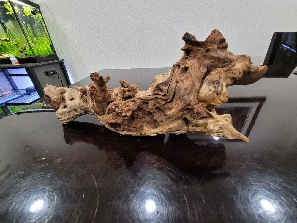 Large Aquarium Terrarium Fish Reptile Driftwood