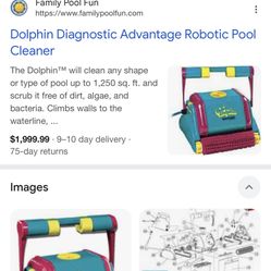Dolphin Pool Cleaner