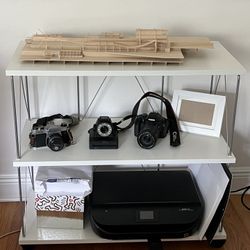 Rolling Printer Cart