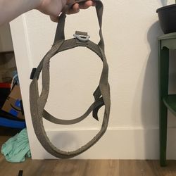 medium dog harness 
