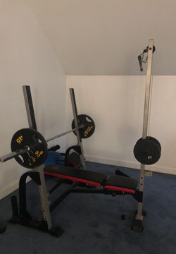Golds gym bench w/ weight