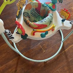 Baby Einstein bouncer