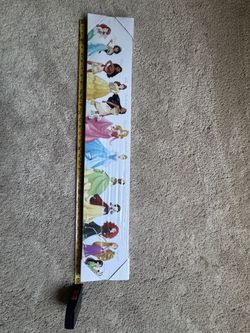 Disney Princess Canvas