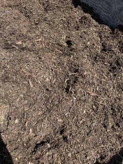 Organic Mulch Great Price!