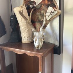 6 Point Buck Skull