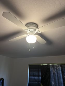 Ceiling Fans