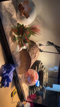 40 gal Reptile Terrarium Tank