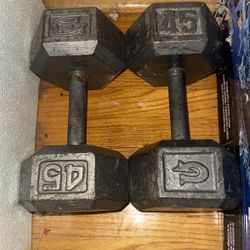 45 Lb Dumbbell