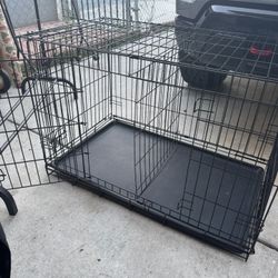 Dog Kennel