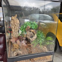 Reptile Habitat Terrarium
