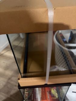 10 gallon tank no lid