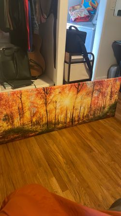 Sunrise Forest Art