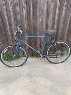 Diamond back in fine condition
