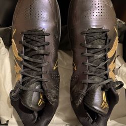 Nike Kobe 5 Year of the Mamba