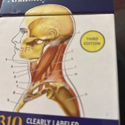 Kaplan Medical Anatomy Flashcards