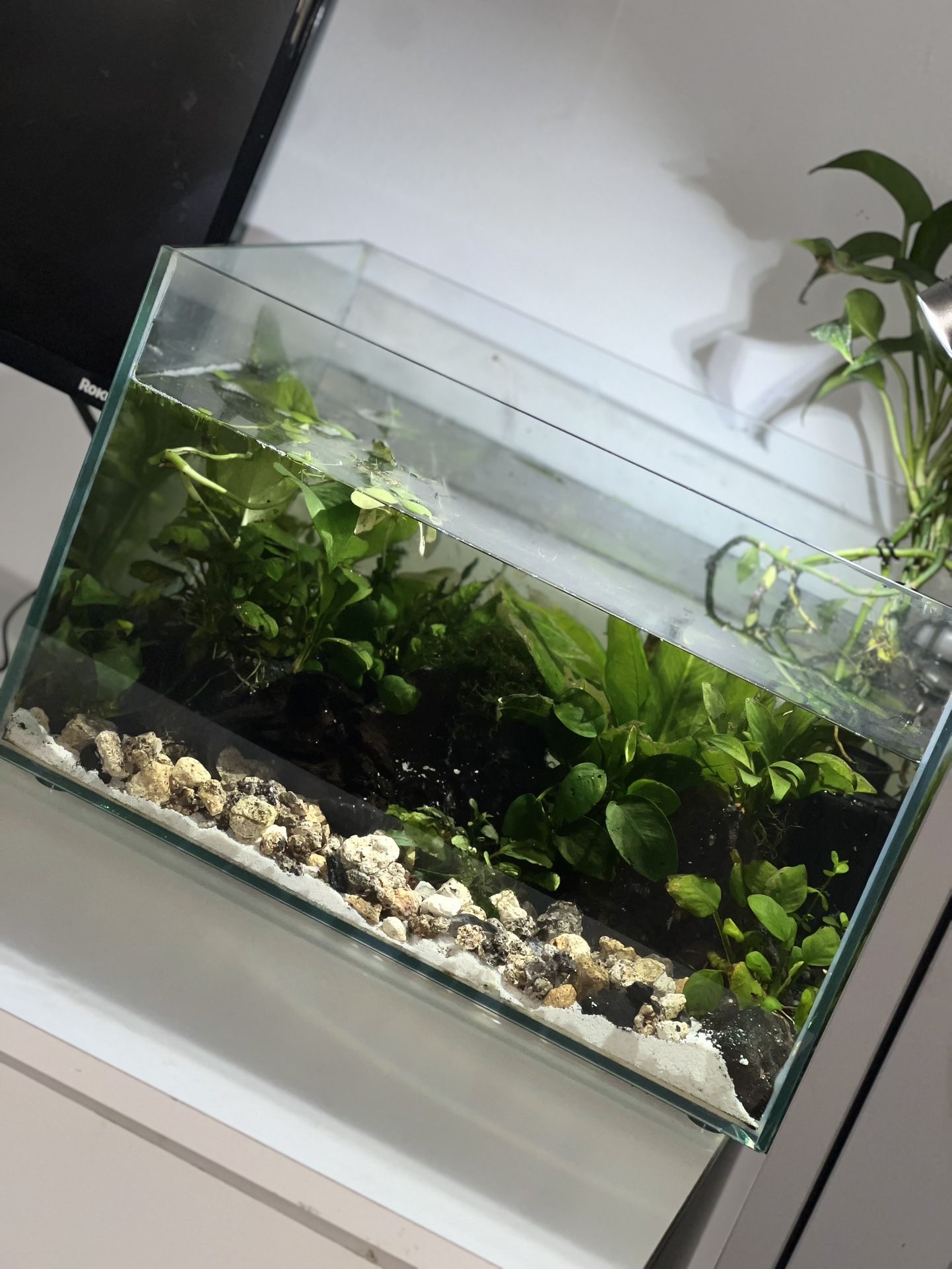 Aquarium 8 Gallons
