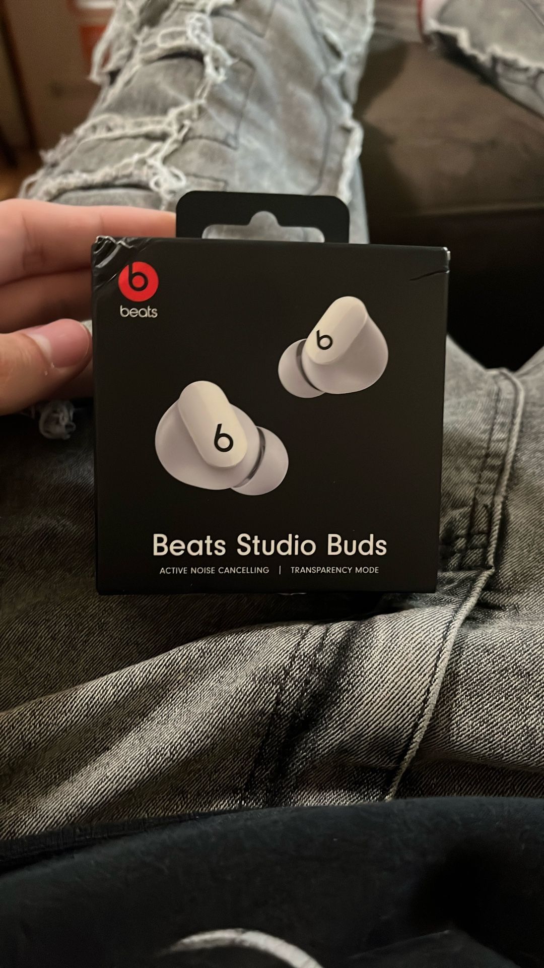 Beats Studio EarBuds