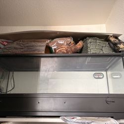 Reptile Tank 