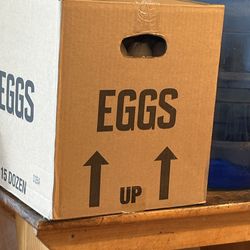 Large eggs