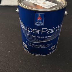 1 Gallon Super Paint Satin 