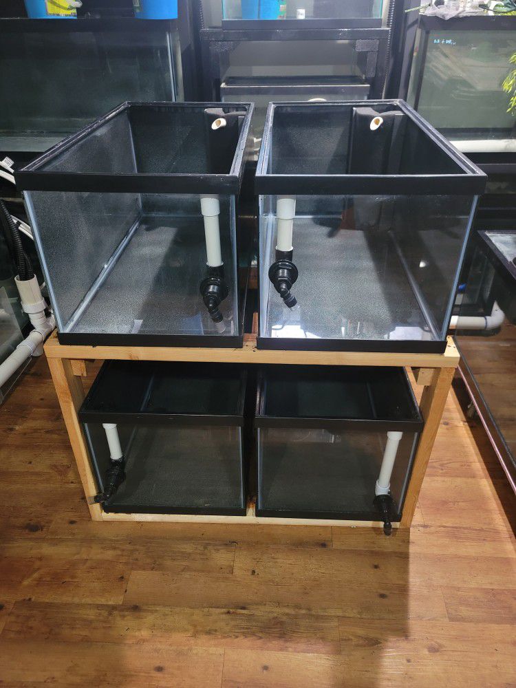 40 Gallon Breeder Aquarium/ Fish Tank