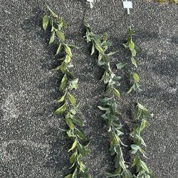 Brand NWT Floral Garland X3