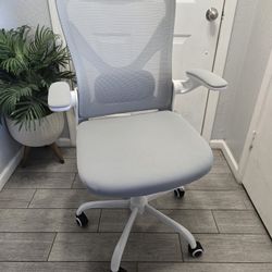 Ergalithic Ergonomic Office Chair with Lumbar Support